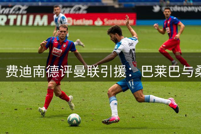 费迪南德评曼联引援：巴莱巴与桑托斯极具潜力，且还有丰富经验
